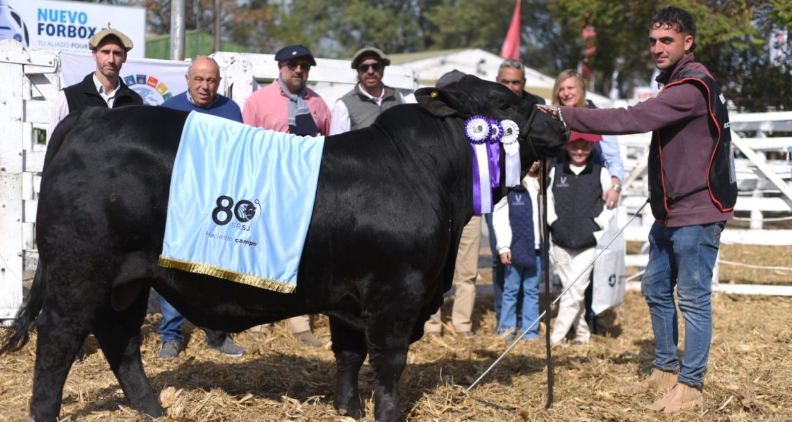 WhatsApp Image 2024-09-17 at 8.37.57 PM