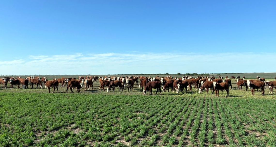 WhatsApp Image 2024-10-16 at 5.14.10 PM