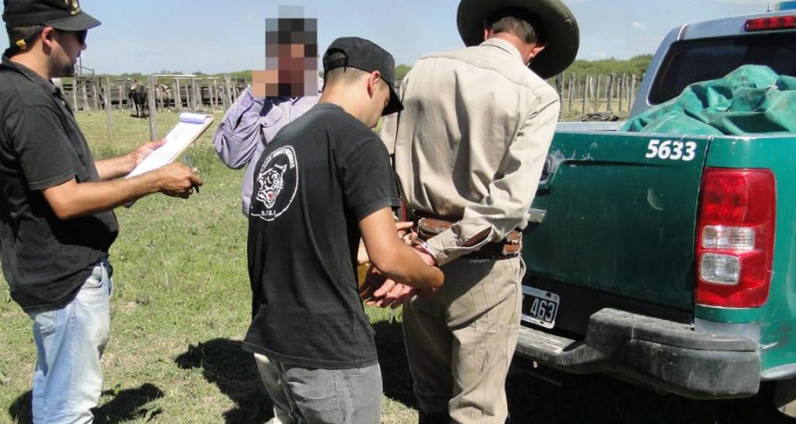 La División Investigación Judicial de Los Pumas secuestraron 22 animales en la estancia San Felipe, en Intiyaco, departamento Vera, y detuvieron a un encargado. El denunciante es la firma Huegen SA. FOTO: Prensa Los Pumas