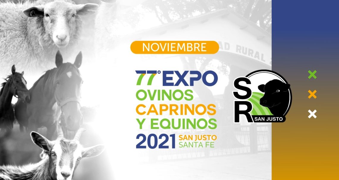 77 Expo ovinos